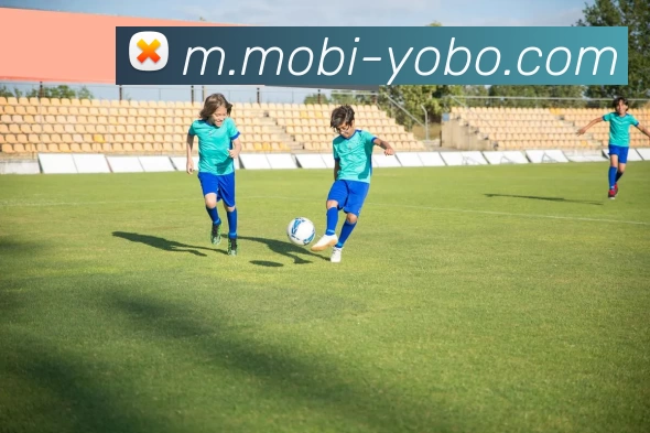 多媒体互动体验